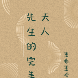 先生的完美夫人