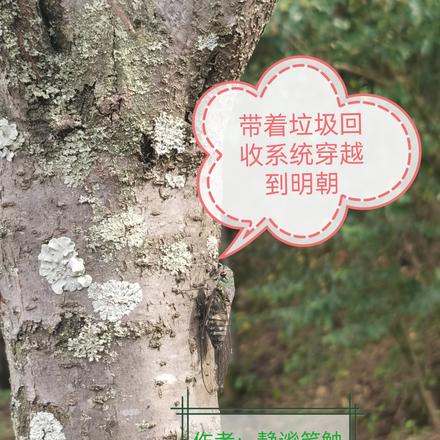 带着垃圾回收系统穿越到明朝