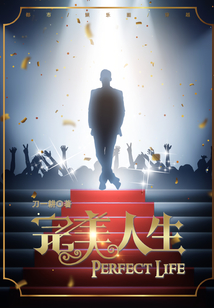 完美人生