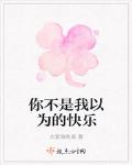 你不是我以为的快乐