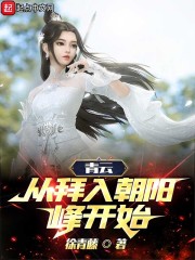 青云:从拜入朝阳峰开始