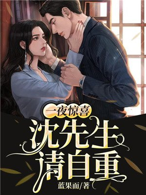 一夜惊喜:沈先生,请自重