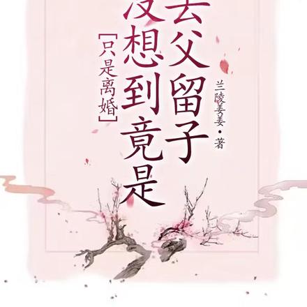 只是离婚,没想到竟是去父留子