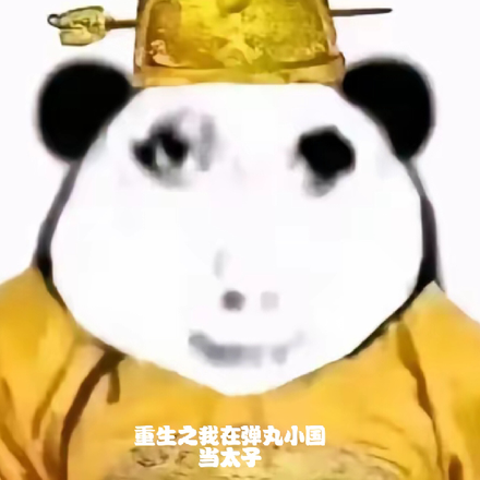重生之我在弹丸小国当太子