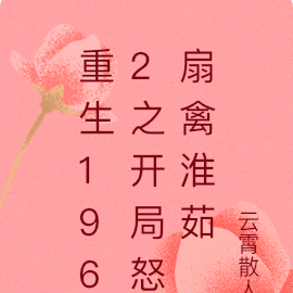 重生1962之开局怒扇禽淮茹