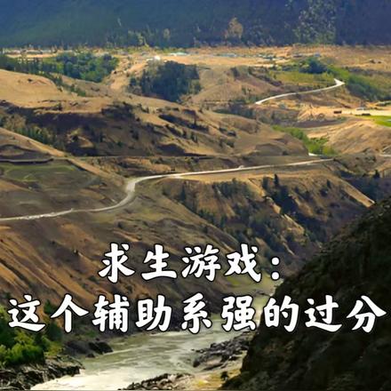 求生游戏:这个辅助系强的过分