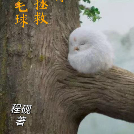 相柳，这次换我守护你