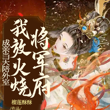 成亲当天陪外室,我放火烧将军府