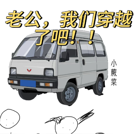 老公，我们穿越了吧！！