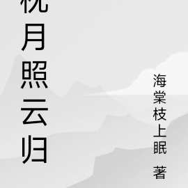 枕月照云归