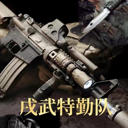 戌武特勤队