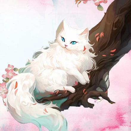 遇见灵猫大人