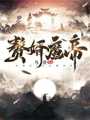 赘婿魔帝