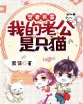 冥妻有喜:我的老公是只猫