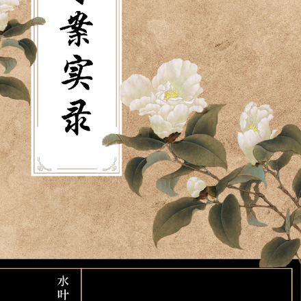 奇案实录