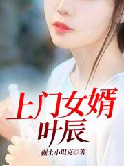 上门女婿叶辰(又名霸婿崛起,最强弃子)