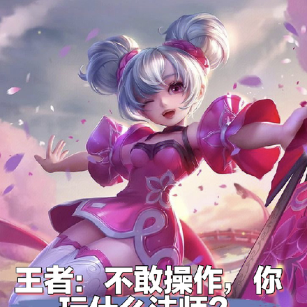 王者：不敢操作，你玩什么法师！
