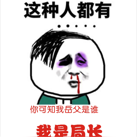 我是局长，开局暴揍侯亮平