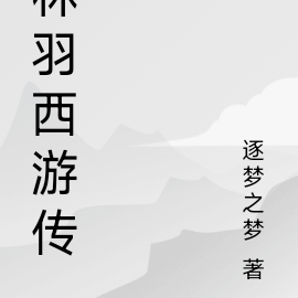 林羽西游传