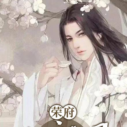 荣府小郎君