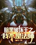 暗黑破坏王之我不是法师