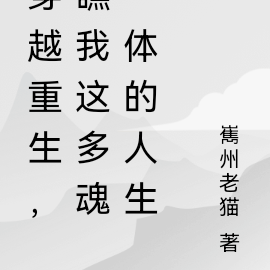 穿越重生,瞧我这多魂一体的人生