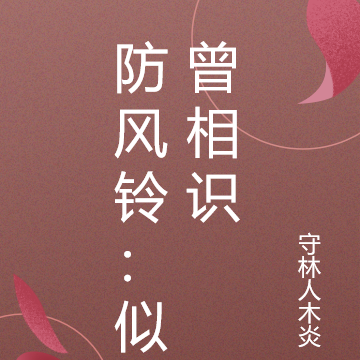 防风铃：似曾相识