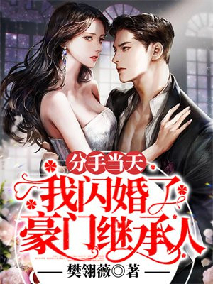 分手当天,我闪婚了豪门继承人