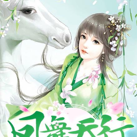 凤舞天行
