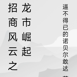 招商风云之龙市崛起