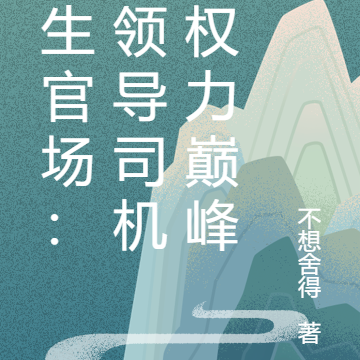 重生官场：从领导司机到权力巅峰