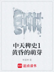 中天稗史1黄昏的萌芽