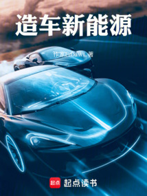 造车新能源