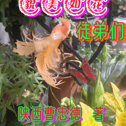师傅和貌美如花徒弟们