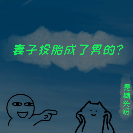 妻子投胎成了男的？
