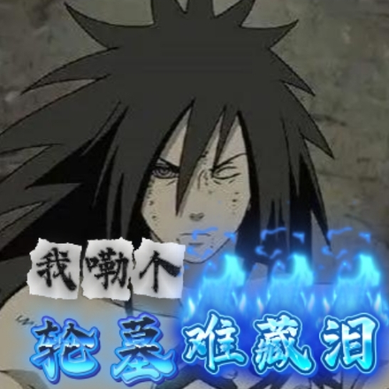 我嘞个轮墓难藏泪