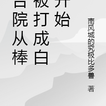 四合院从棒梗被打成白痴开始