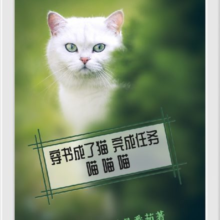 穿书成了猫完成任务喵喵喵