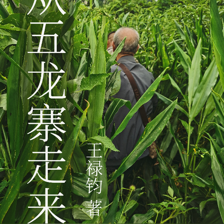 从五龙寨走来
