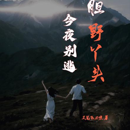 大胆野丫头，今夜别逃