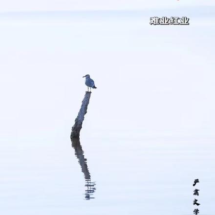 风暴之身