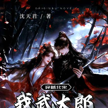 穿越北宋，我武大郎，请天下赴死