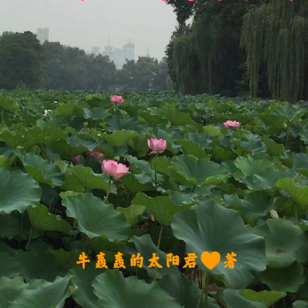 公主在现代风生水起