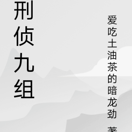 刑侦九组