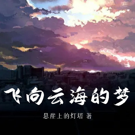 飞向云海的梦
