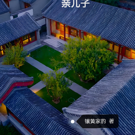 四合院：我是易中海的亲儿子