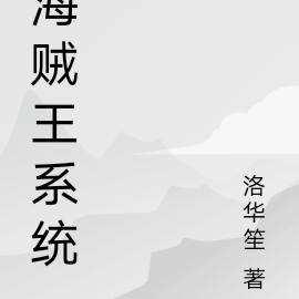 海贼王系统