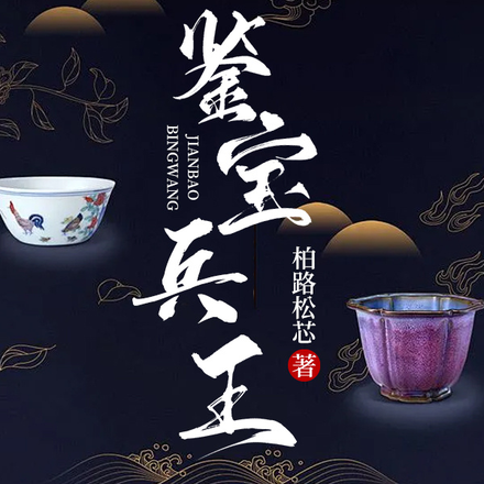 鉴宝兵王