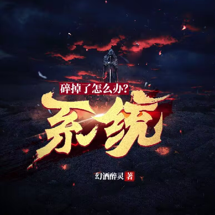 系统碎掉了怎么办?