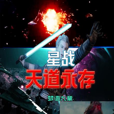 星战:天道永存